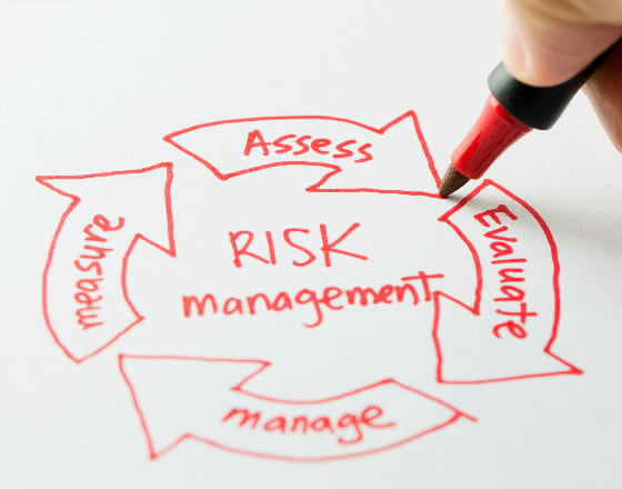 Risk Mitigation & Auditability