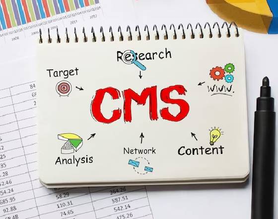 CMS Design and Development